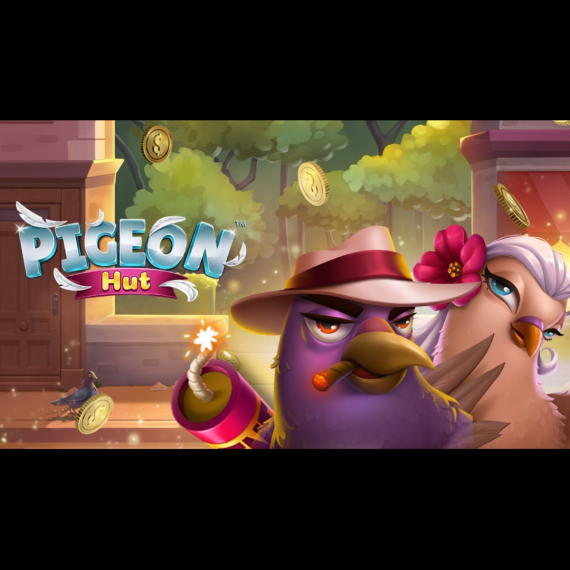 Pigeon Hut