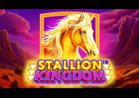 Stallion Kingdom