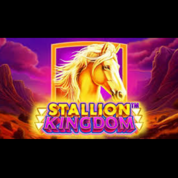 Stallion Kingdom