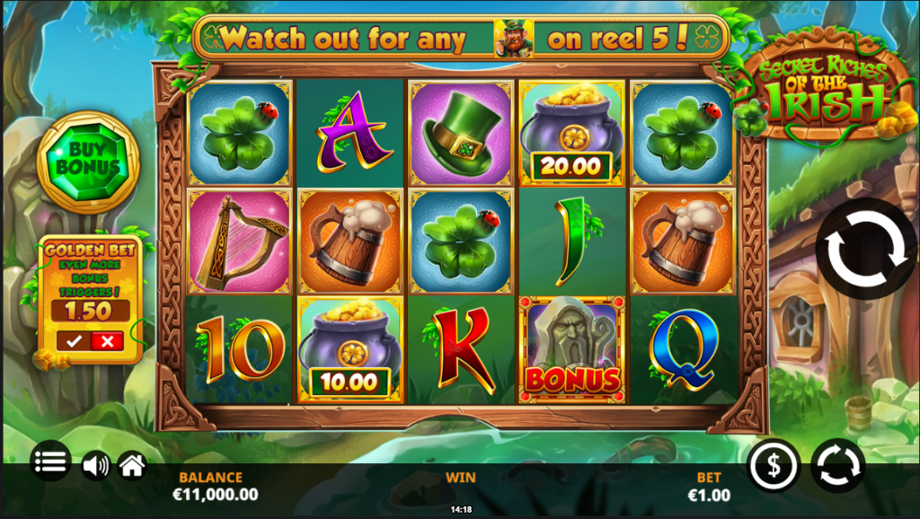 Secret Riches of the Irish