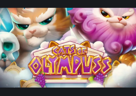 Cats of Olympuss