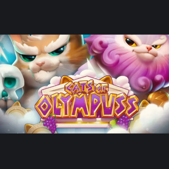 Cats of Olympuss