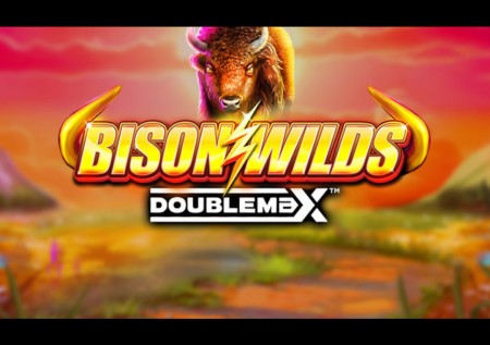 Bison Wilds DoubleMax