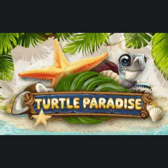 Turtle Paradise