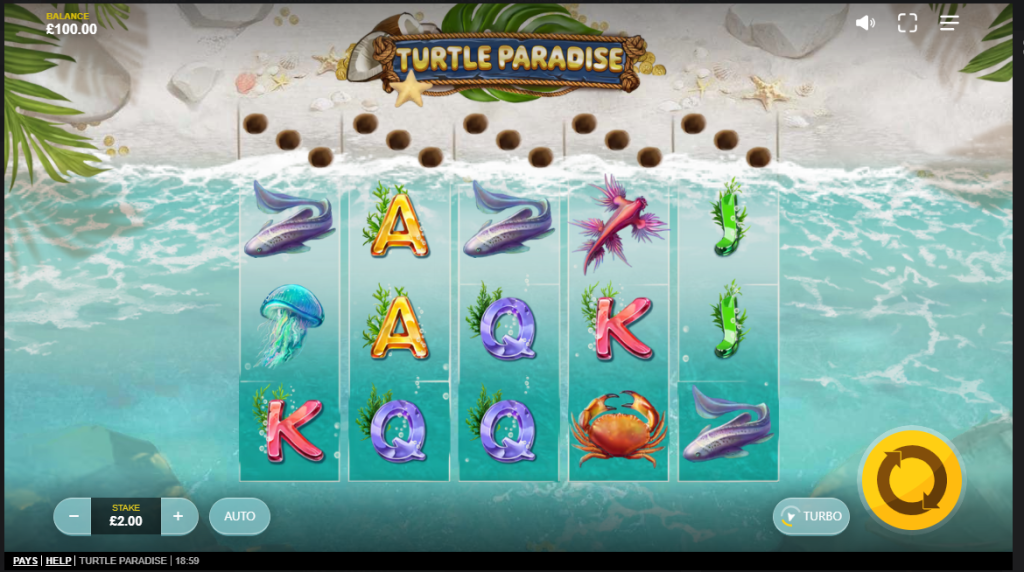 Turtle Paradise