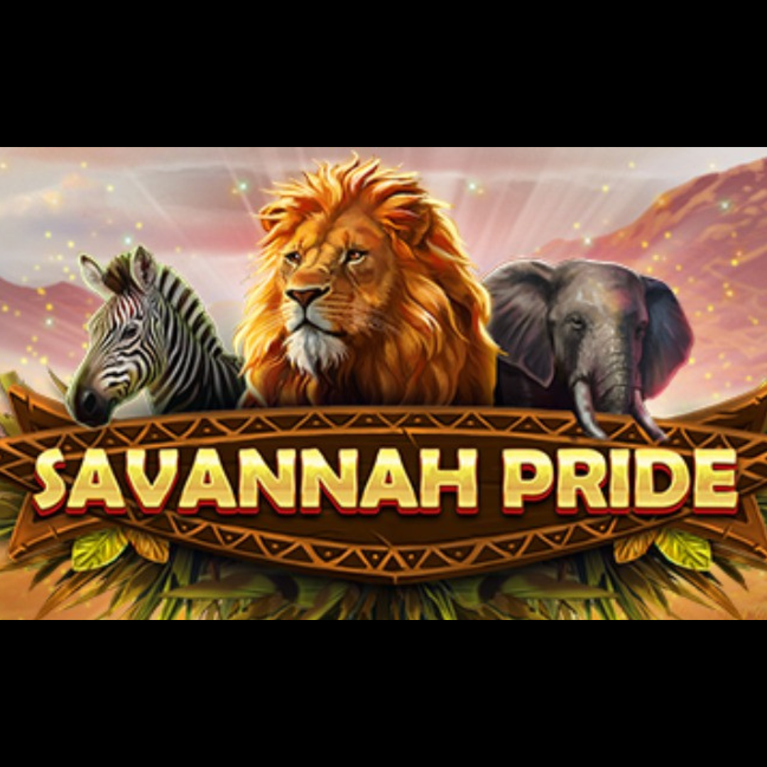 Savannah Pride Cashito TV
